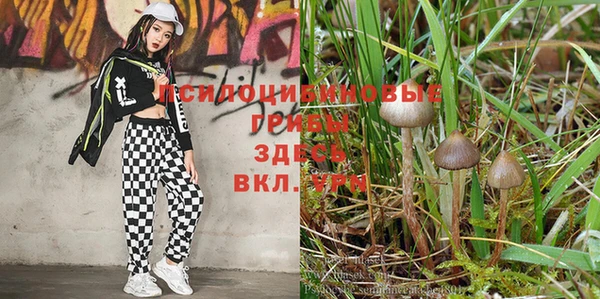 кокаин перу Балабаново